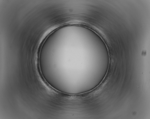 X0000094461418200712061213