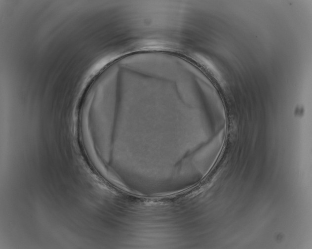 X0000094461419200712061213