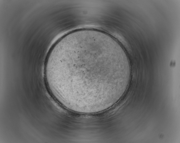 X0000094461420200712061213