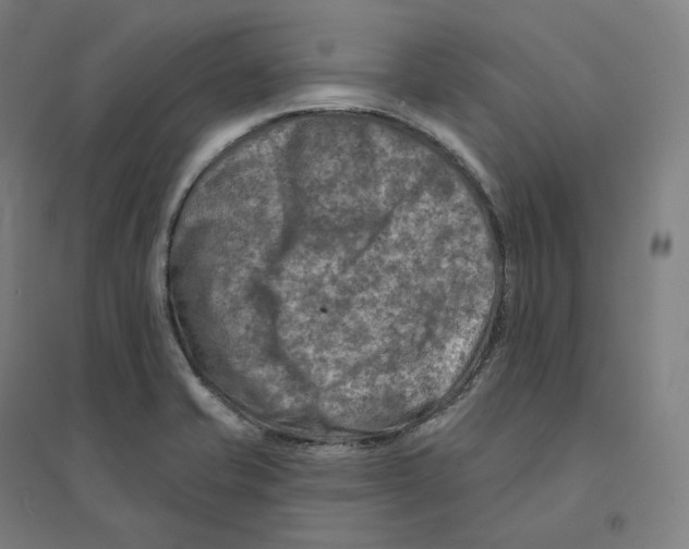 X0000094461421200712061213