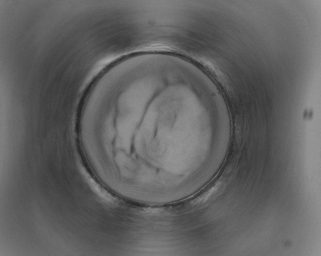 X0000094461422200712061213