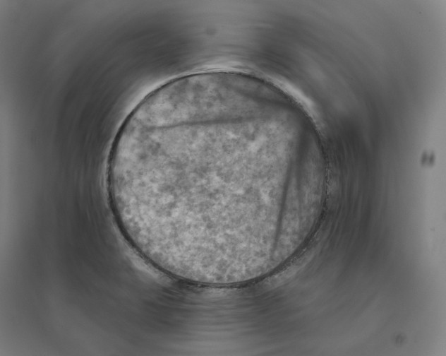 X0000094461423200712061213