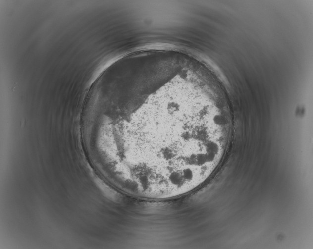 X0000094461425200712061213