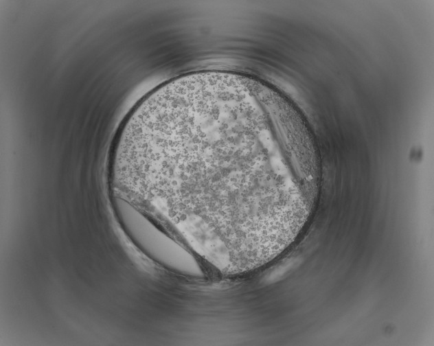 X0000094461426200712061213