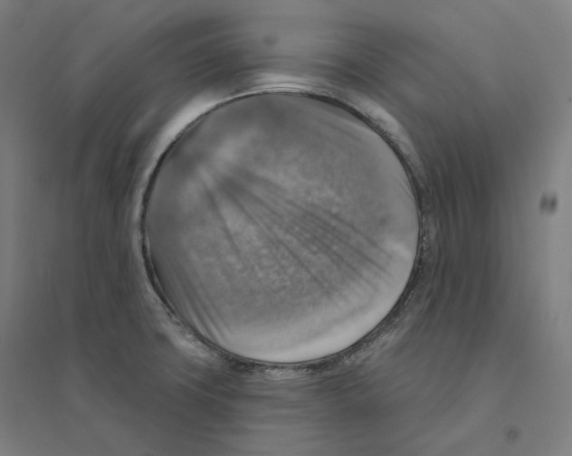 X0000094461427200712061213