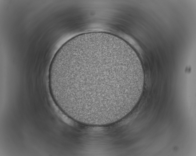 X0000094461431200712061213