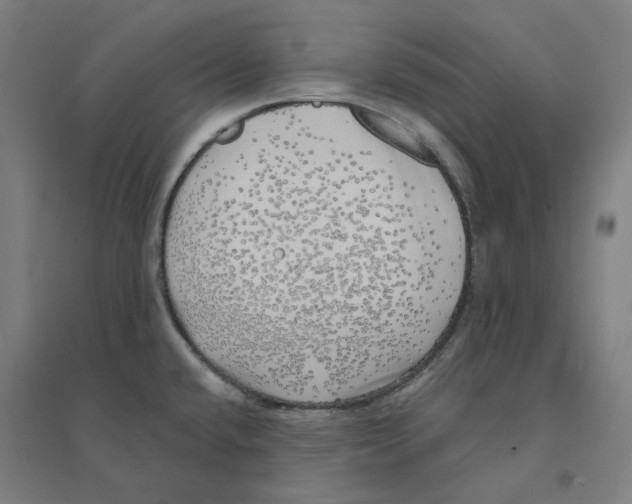 X0000094461432200712061213