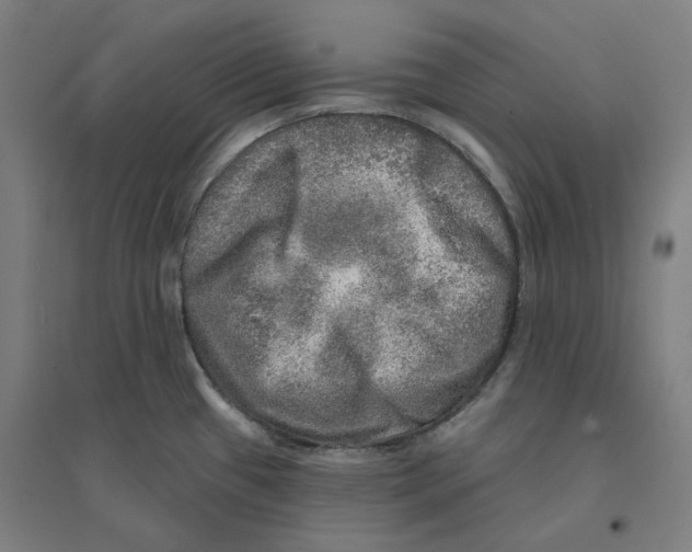 X0000094461433200712061213