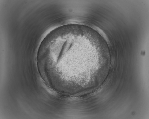 X0000094461435200712061213