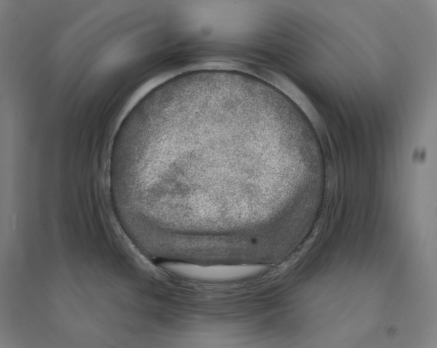 X0000094461436200712061213