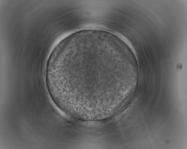 X0000094461437200712061213