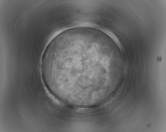 X0000094461439200712061213