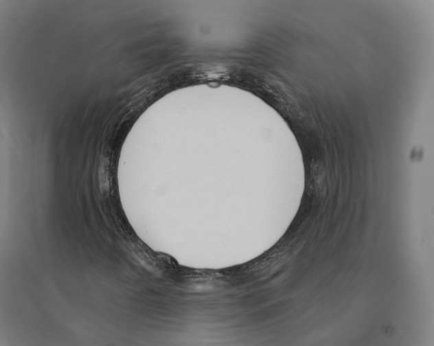 X0000094461442200712061212