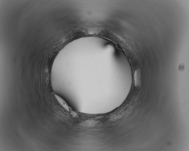 X0000094461443200712061212