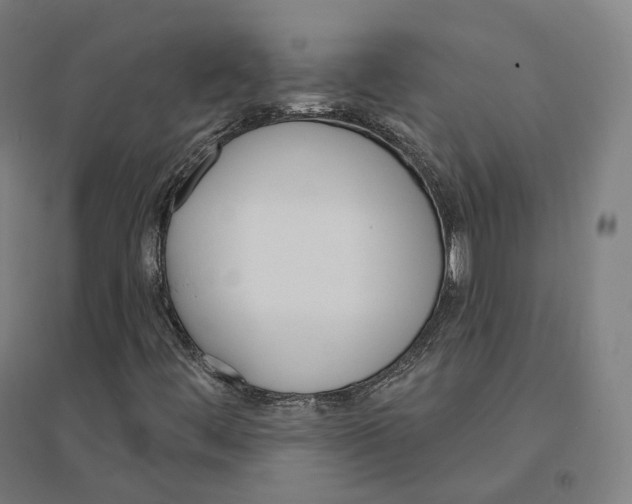 X0000094461444200712061212