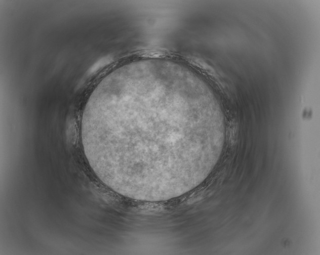 X0000094461446200712061212