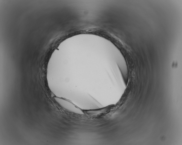 X0000094461447200712061212