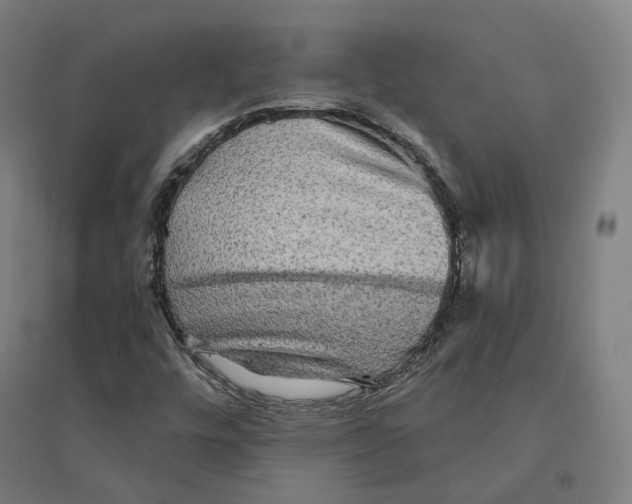 X0000094461448200712061212