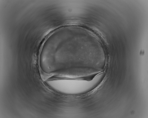 X0000094461449200712061212