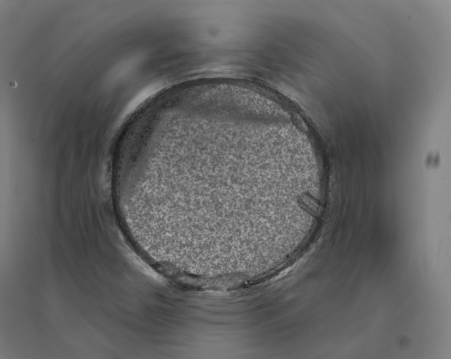 X0000094461450200712061212