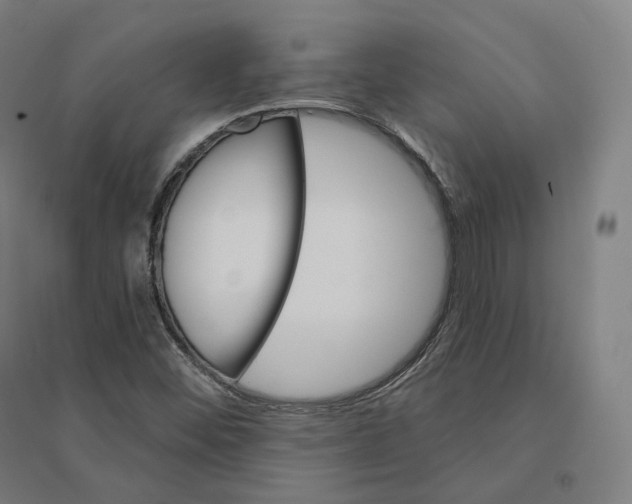 X0000094461452200712061212