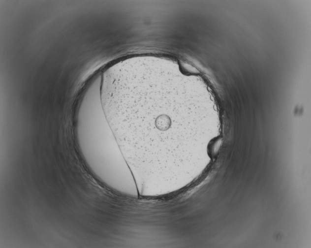 X0000094461453200712061212