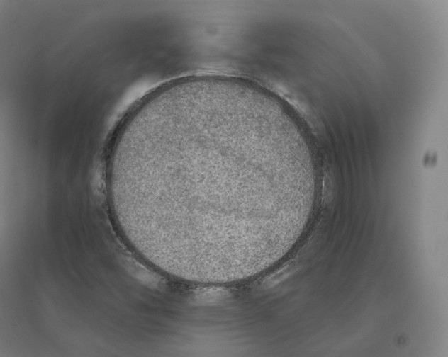 X0000094461454200712061212