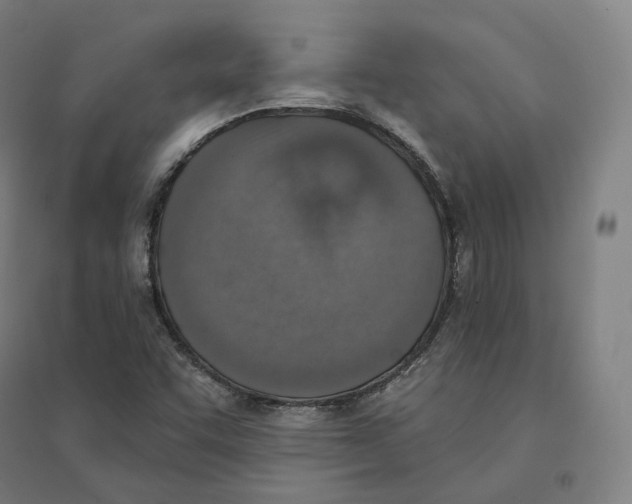 X0000094461455200712061212