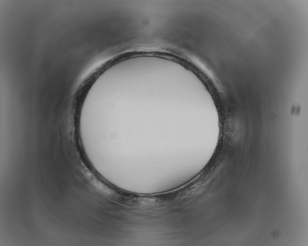 X0000094461456200712061212