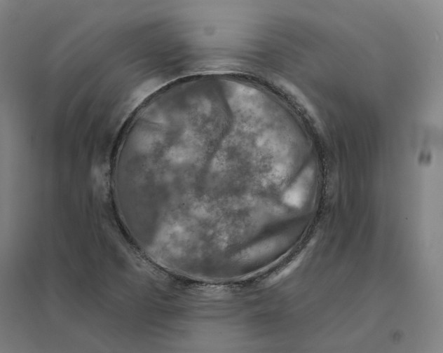 X0000094461457200712061212