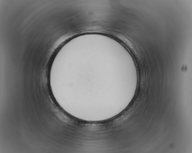 X0000094461458200712061212