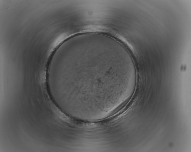 X0000094461459200712061212