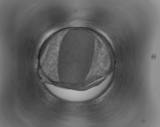 X0000094461461200712061212