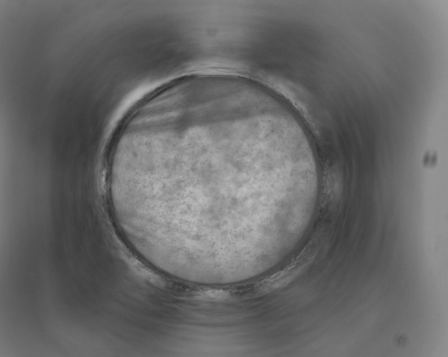 X0000094461462200712061212