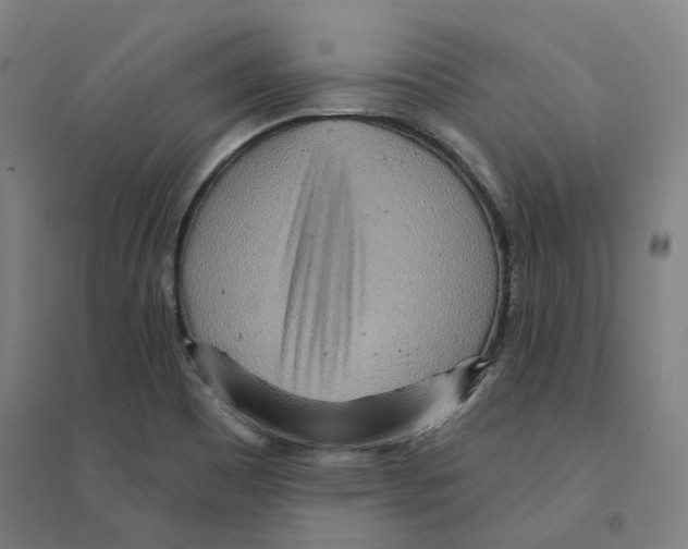 X0000094461465200712061212