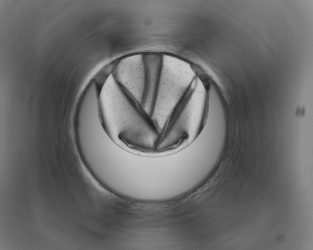 X0000094461468200712061212