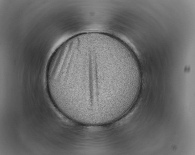 X0000094461469200712061212