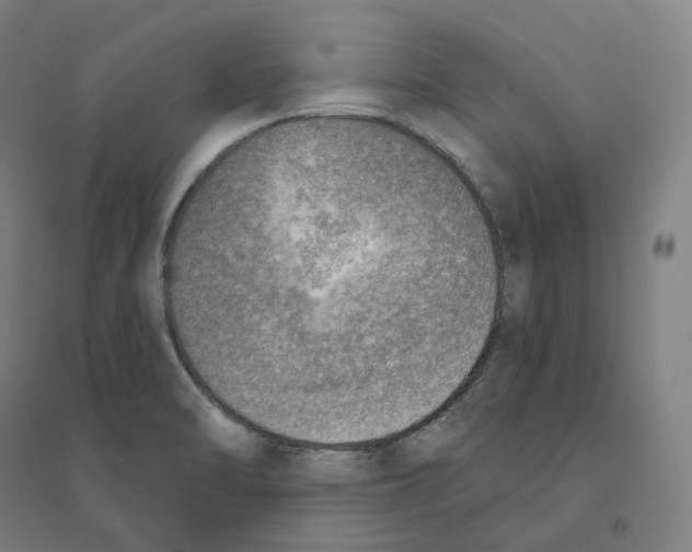 X0000094461470200712061212