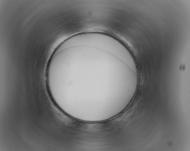 X0000094461471200712061212