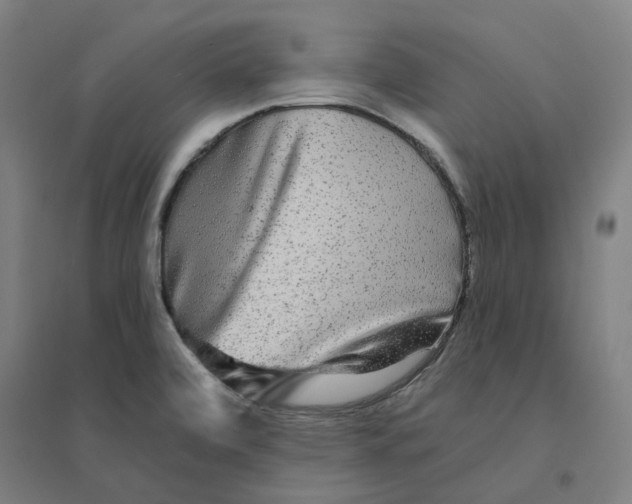 X0000094461472200712061212