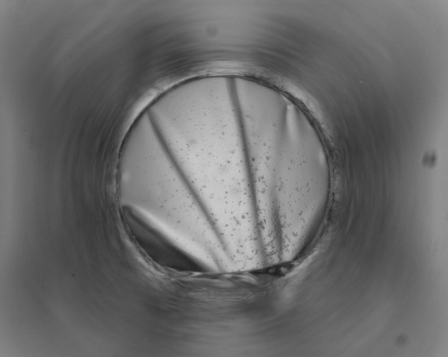 X0000094461473200712061212