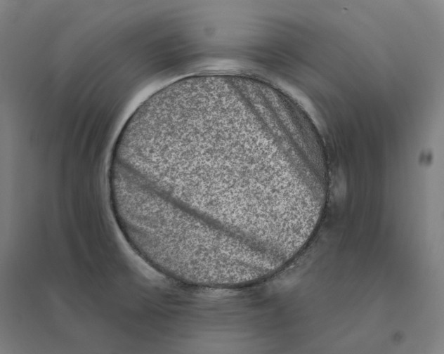 X0000094461475200712061212