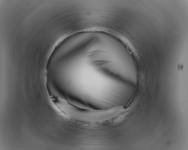 X0000094461476200712061212