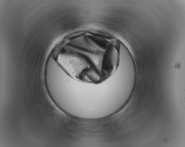 X0000094461477200712061212