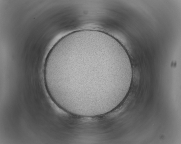 X0000094461478200712061212