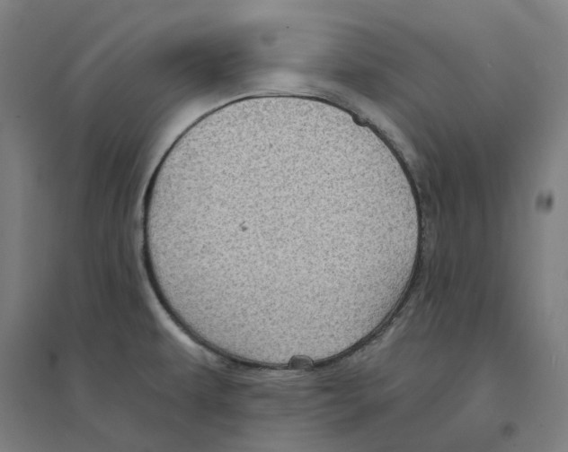 X0000094461479200712061212