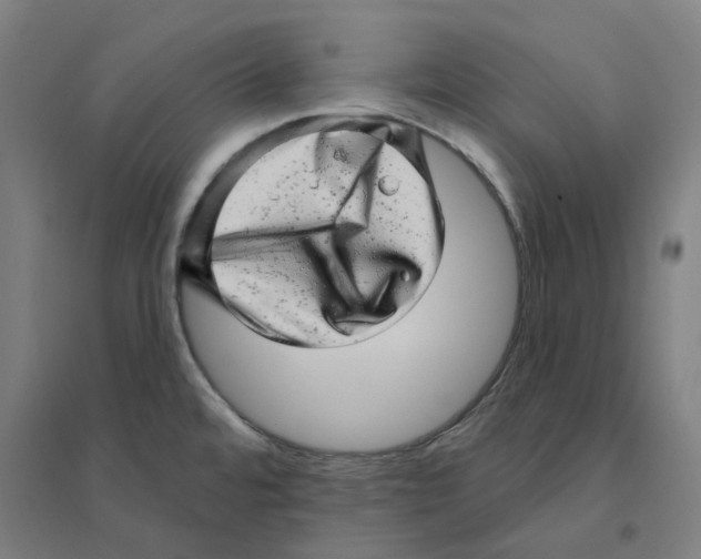 X0000094461480200712061212