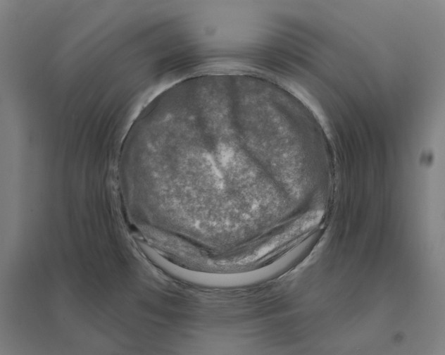 X0000094461481200712061212