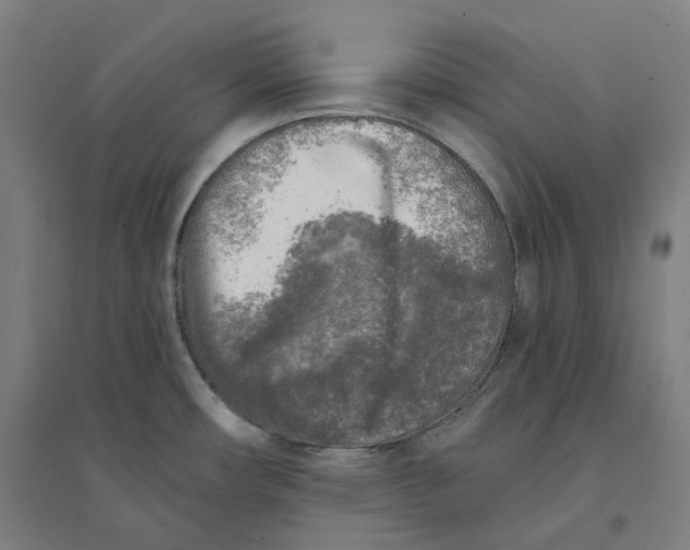 X0000094461482200712061212