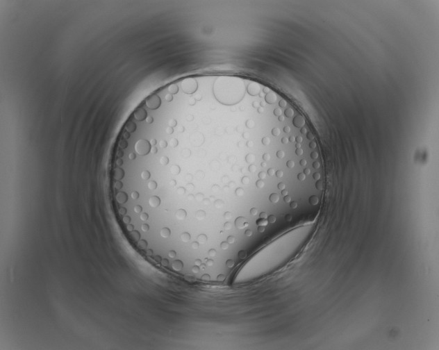 X0000094461483200712061212